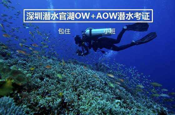 逃离遗弃的建筑3